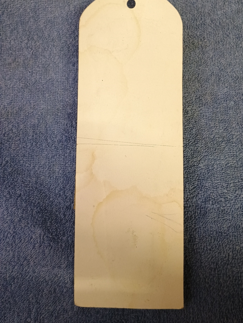 Flasher Frog Pen Novelty - Picture 3 of 5